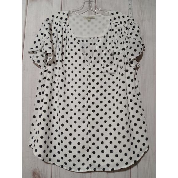 41 Hawthorn Shirt Womens‎ XL Polka Dot Chiffon Blouse Short Sleeve Top - Picture 1 of 7